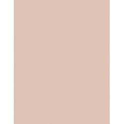 3M™ 7000000286 261X Plain Back Lapping Film Sheet, 11 in L 8.5 in W, 5 micron Grit, Aluminum Oxide Abrasive, Polyester Backing