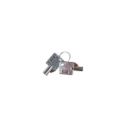 AED® 50-00599-01 Cabinet Spare Key, For Use With AED® Powerheart® G5/50 Series Automated External Defibrillators