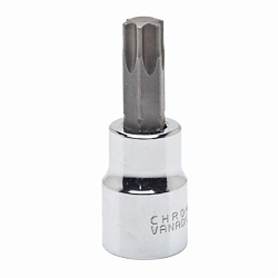 Crescent® CDTS10 Standard Length Socket Driver Bit, 3/8 in Torx® Drive, T55, ASME Specified