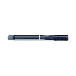 Guhring 9019840254000 Conventional Standard Straight Shank Machine Tap With White Ring, Right Hand Cutting, H6/H7 Thread Limit, 5 Flutes, Nitrided Treated, HSS-E
