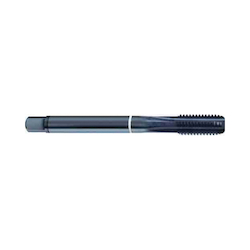 Guhring 9019890254000 Conventional Standard Straight Shank Machine Tap With White Ring, Right Hand Cutting, H6/H7 Thread Limit, 5 Flutes, Nitrided Treated, HSS-E