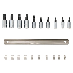 Proto® J4740C Socket Bit Set, 1/4, 3/8 in Drive, T10 to T55 Torx, 10 Pieces, Polished Chrome, ASME Specified