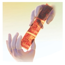 QRP® Qualatex® 2CL Disposable Low Powdered Finger Cot, L, Natural Rubber Latex, White