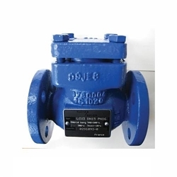 Spirax Sarco 0290296, LCV-4 Lift Check Valve, 1 in, Flanged, Cast Steel Body