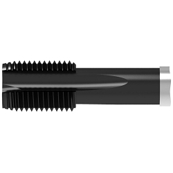 WNT 23141100 Machine Tap, Right Hand Cutting, MF10 x 0.75 Thread, Plug Chamfer, (4) Flutes, Nitr. + Vap. Coated, HSSE