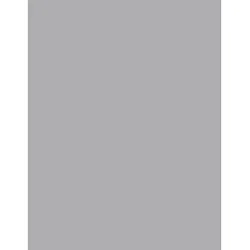 3M™ 7000000284 461X Plain Back Lapping Film Sheet, 11 in L 8.5 in W, 9 micron Grit, Silicon Carbide Abrasive