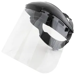 ArcOneĀ® BG-FL Browguard With Flat Visor, Black PTEG
