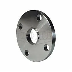 DixonĀ® B38W-R100 Weld Neck Flange, 1 in Nominal, 316/316L Stainless Steel, Domestic