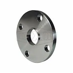 DixonĀ® B38W-R200 Weld Neck Flange, 2 in Nominal, 316/316L Stainless Steel, Domestic