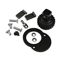 Proto® J6064RK Ratchet Head Repair Kit, For Use With J6064C, J6064CX and J6064CXCERT 3/8 in Drive Micrometer Torque Wrench, Alloy Steel