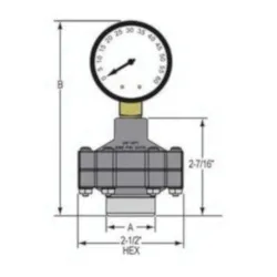 Spears® G0002-002 Gauge Guard, 1/4 in Gauge Port, FNPT Connection, Molded PVC, Gray