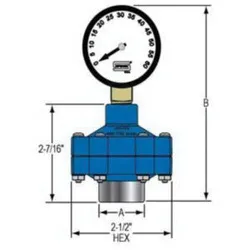 Spears® G0002-002BL Gauge Guard, 1/4 in Gauge Port, FNPT Connection, Molded PVC, Blue