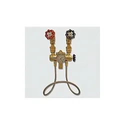 Spirax Sarco 74793 Dual Mix Globe Valve, Steam Red